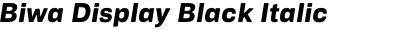 Biwa Display Black Italic